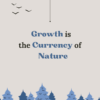 Growth is the Currency